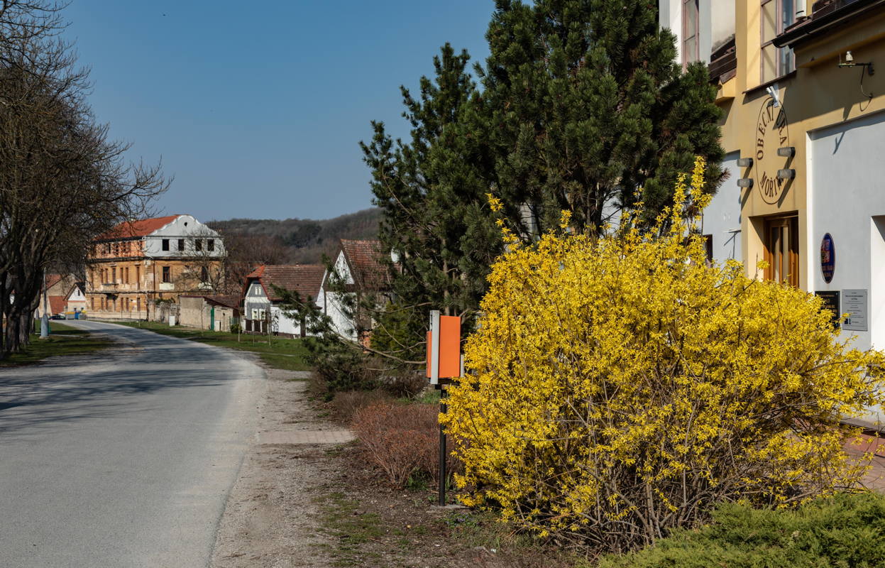 Road is part of the Eruv boundary of the Ghetto