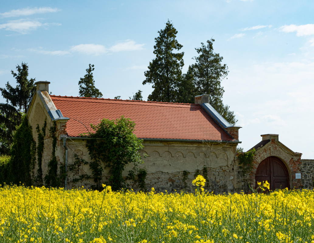 Jewish Cemetery and mortuary