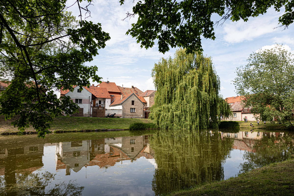 Jewish pond