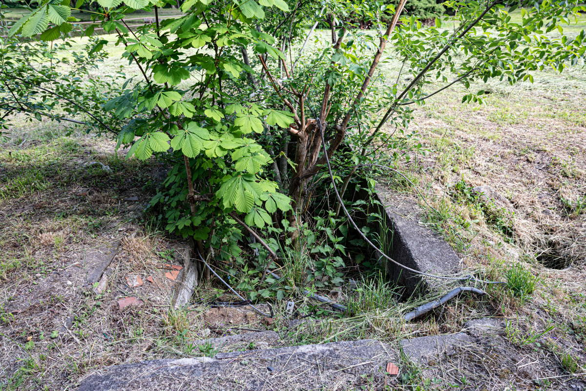 Steps down to reach the Mikvah