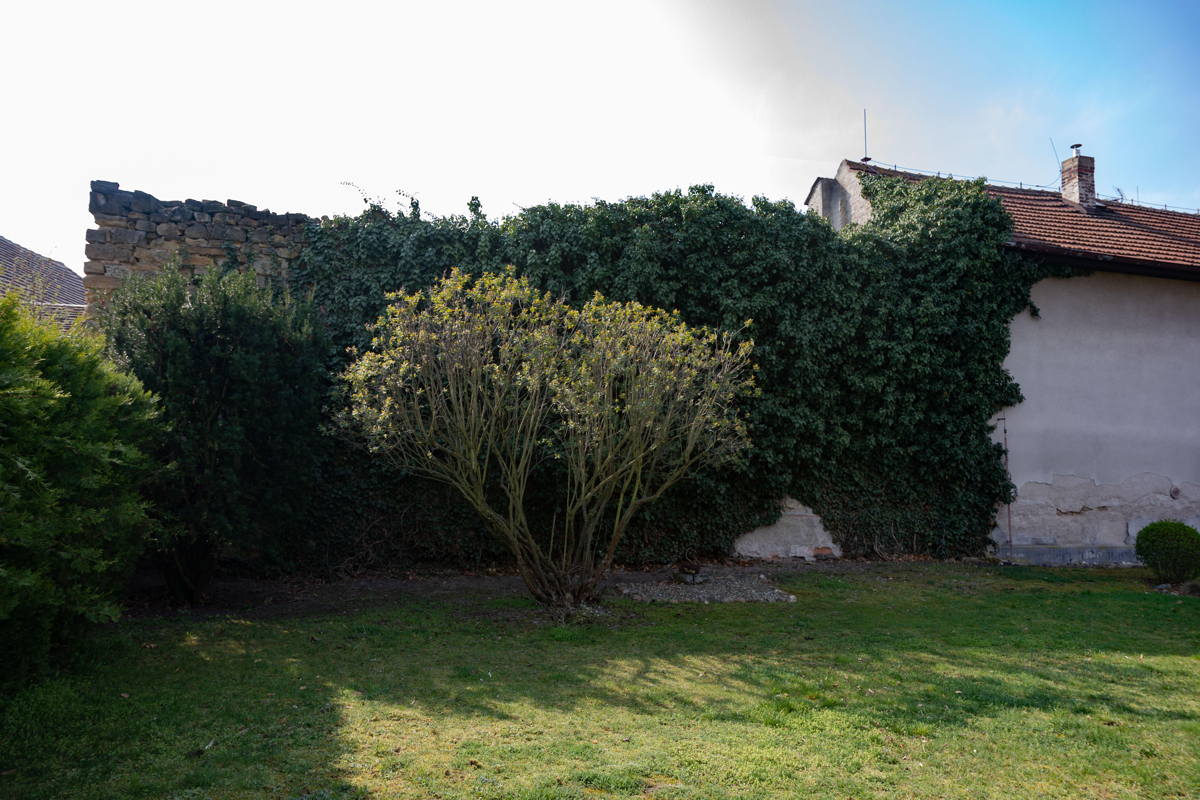 Last remaining wall of Synagogue