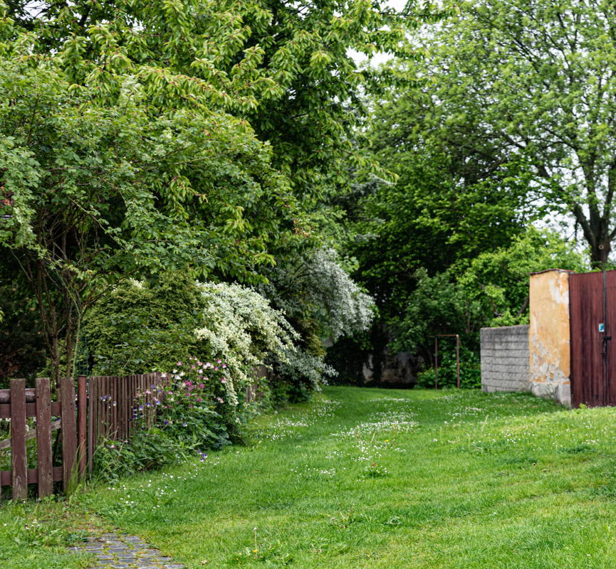 Area where the Synagogue was located