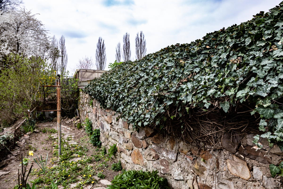 Wall of Synagogue