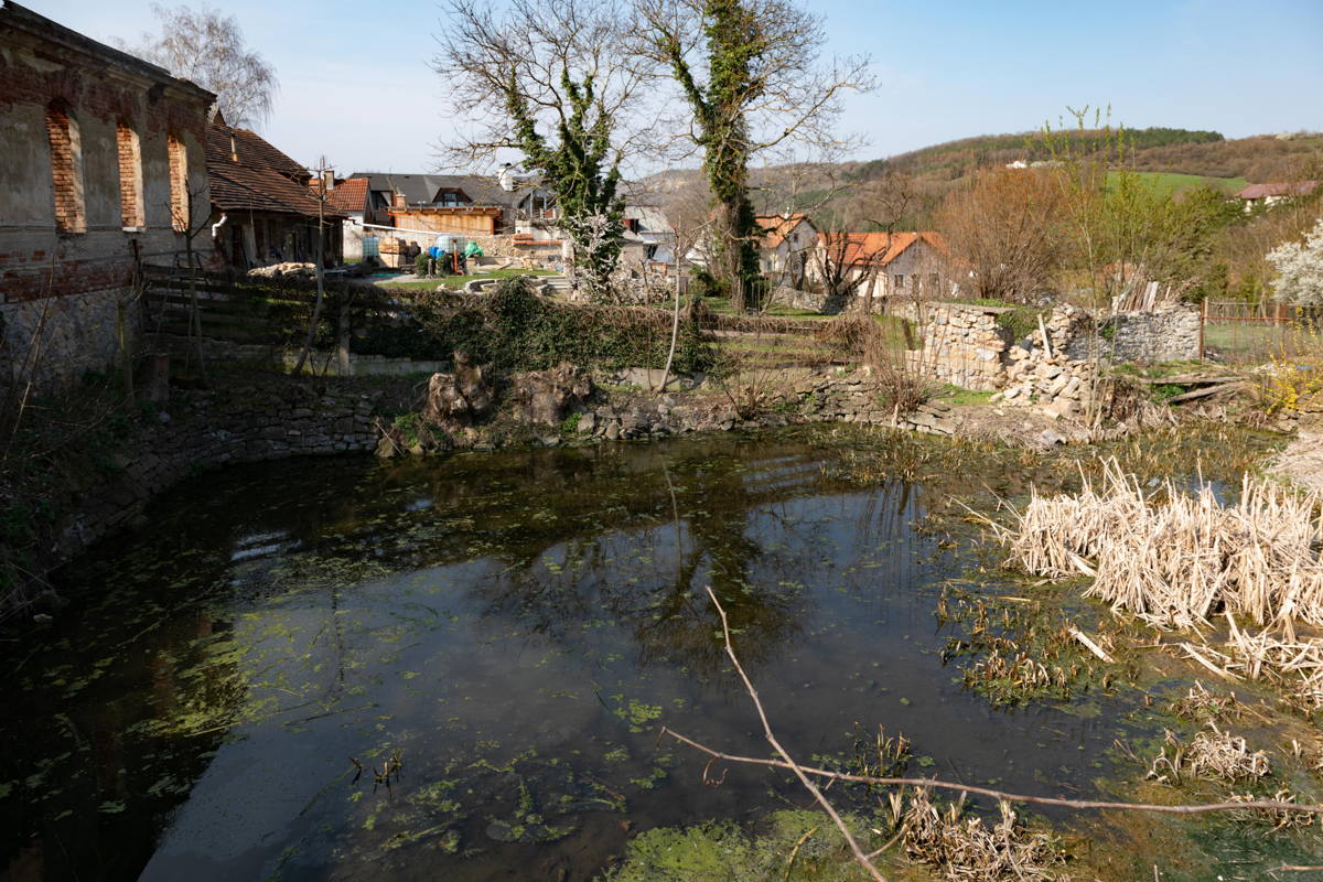 This pond may have been used as a Mikvah