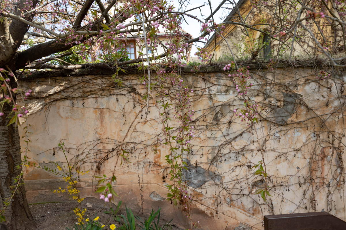 Exterior wall to Synagogue