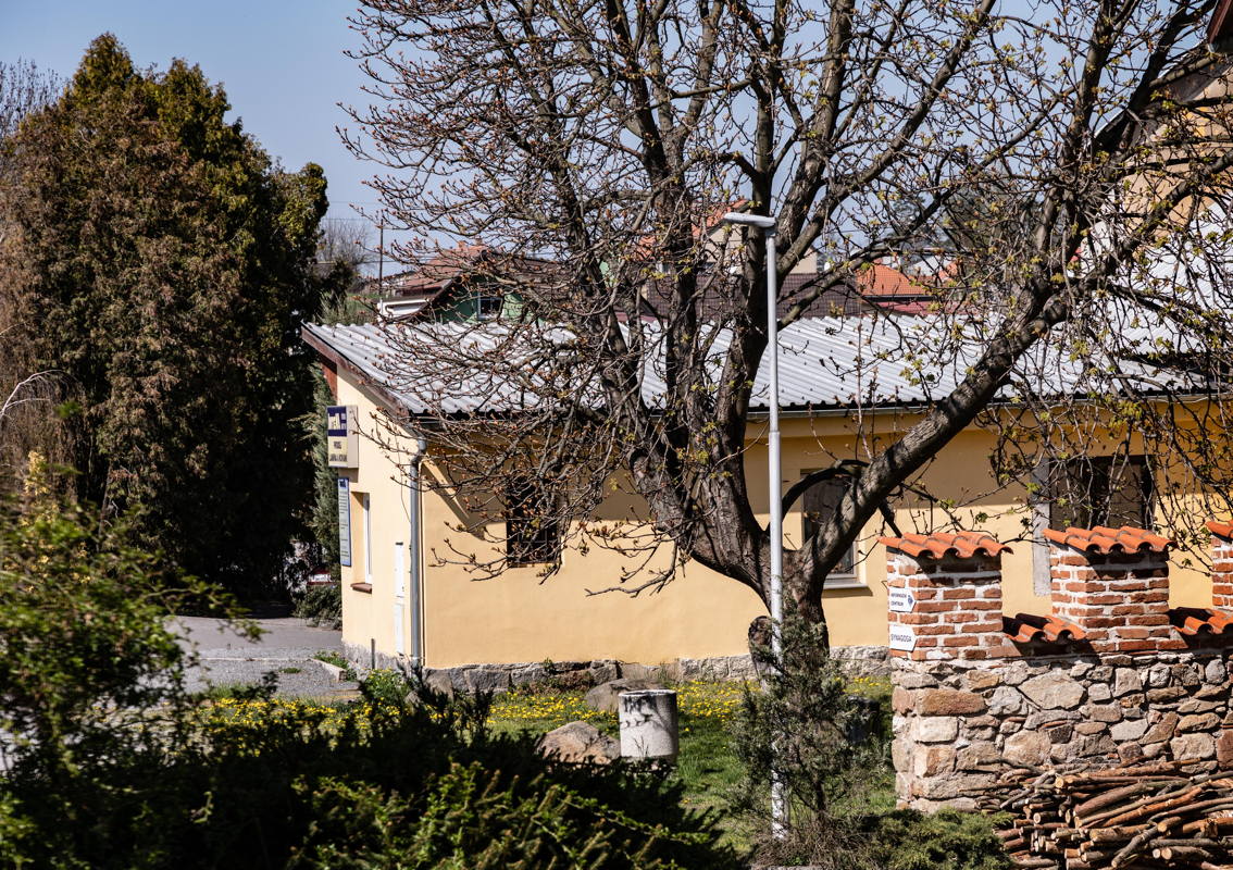 Tree marks the site of the school