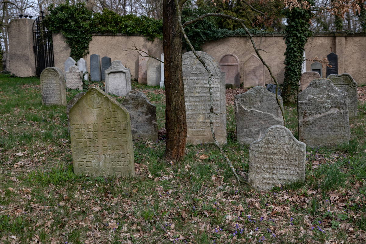 Oldest graves in Jewish Cemetery