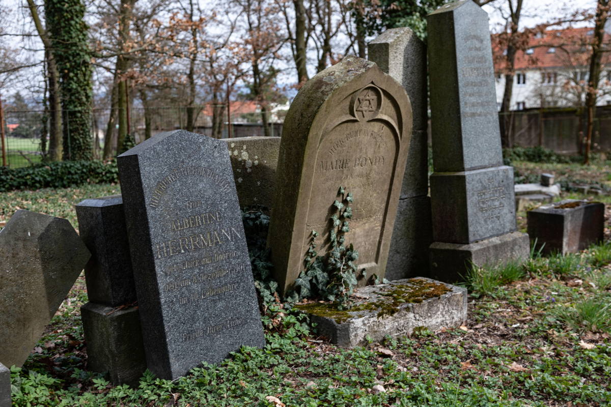 Grassy area set aside for the future generations in Jewish Cemetery. Remains vacant.