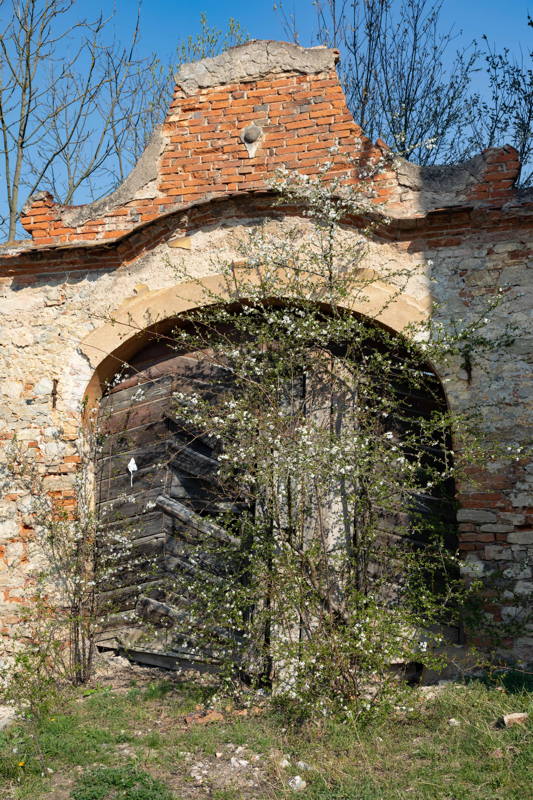 Archway to back garden