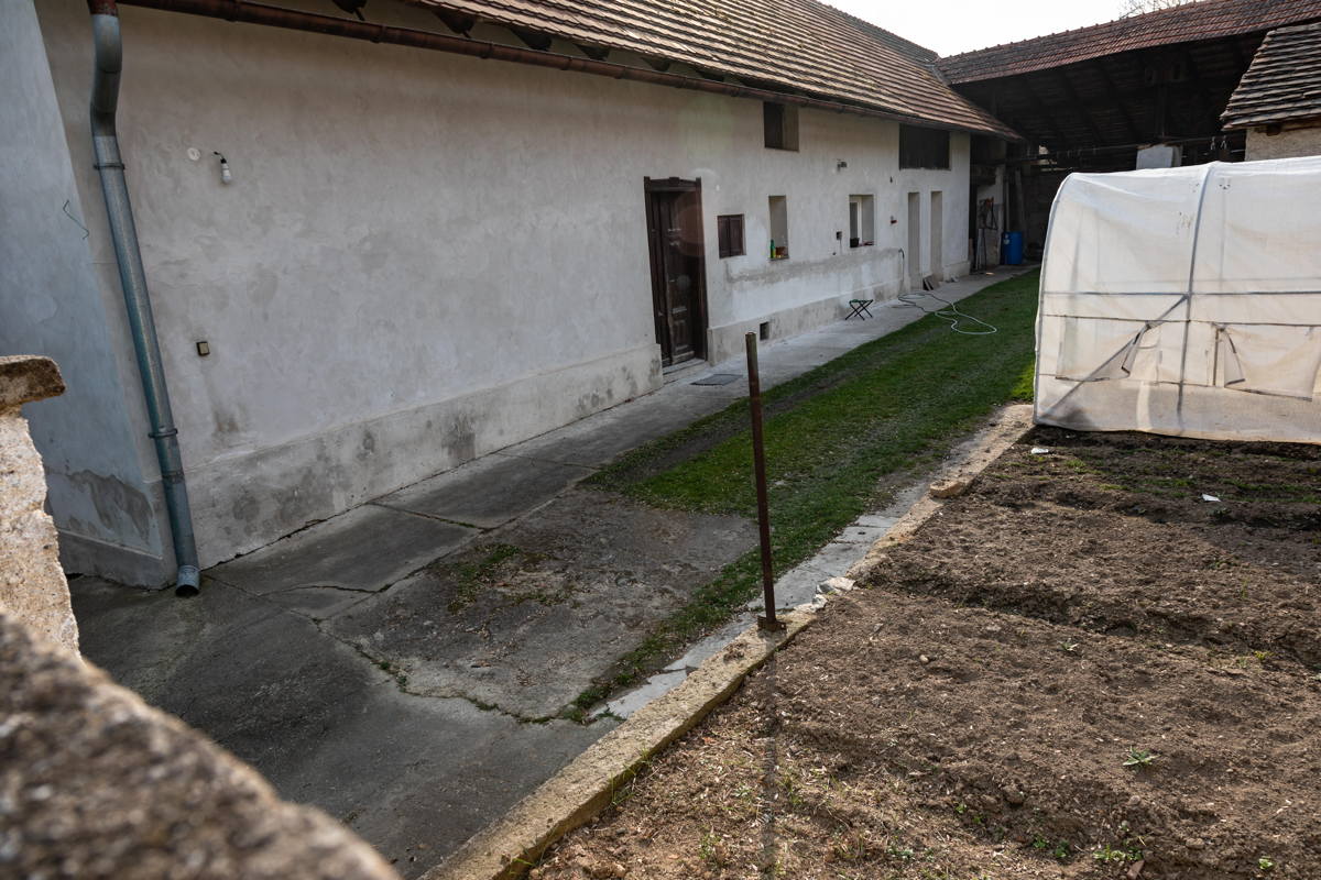 Garden behind houses