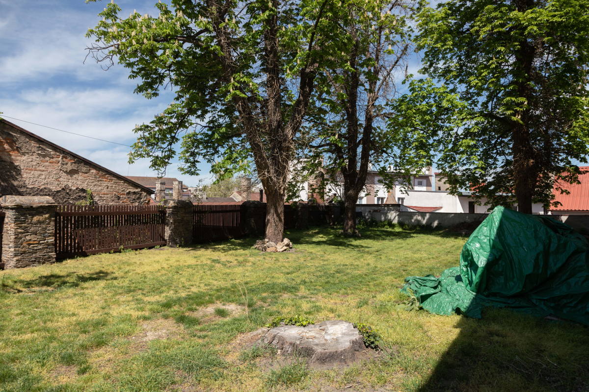 Garden area in rear of Synagogue