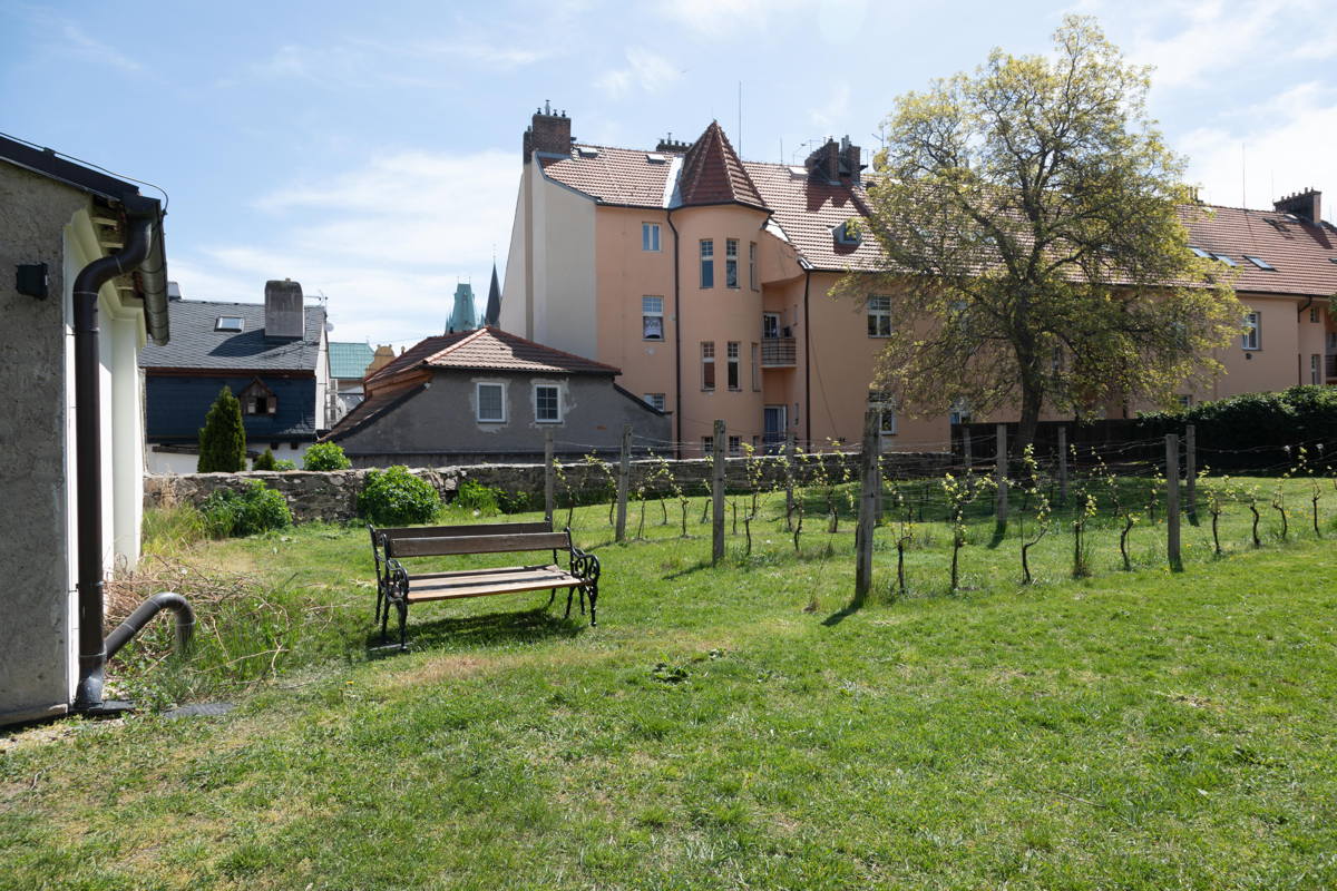 Garden area in rear of Synagogue