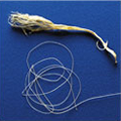Gidden strings
